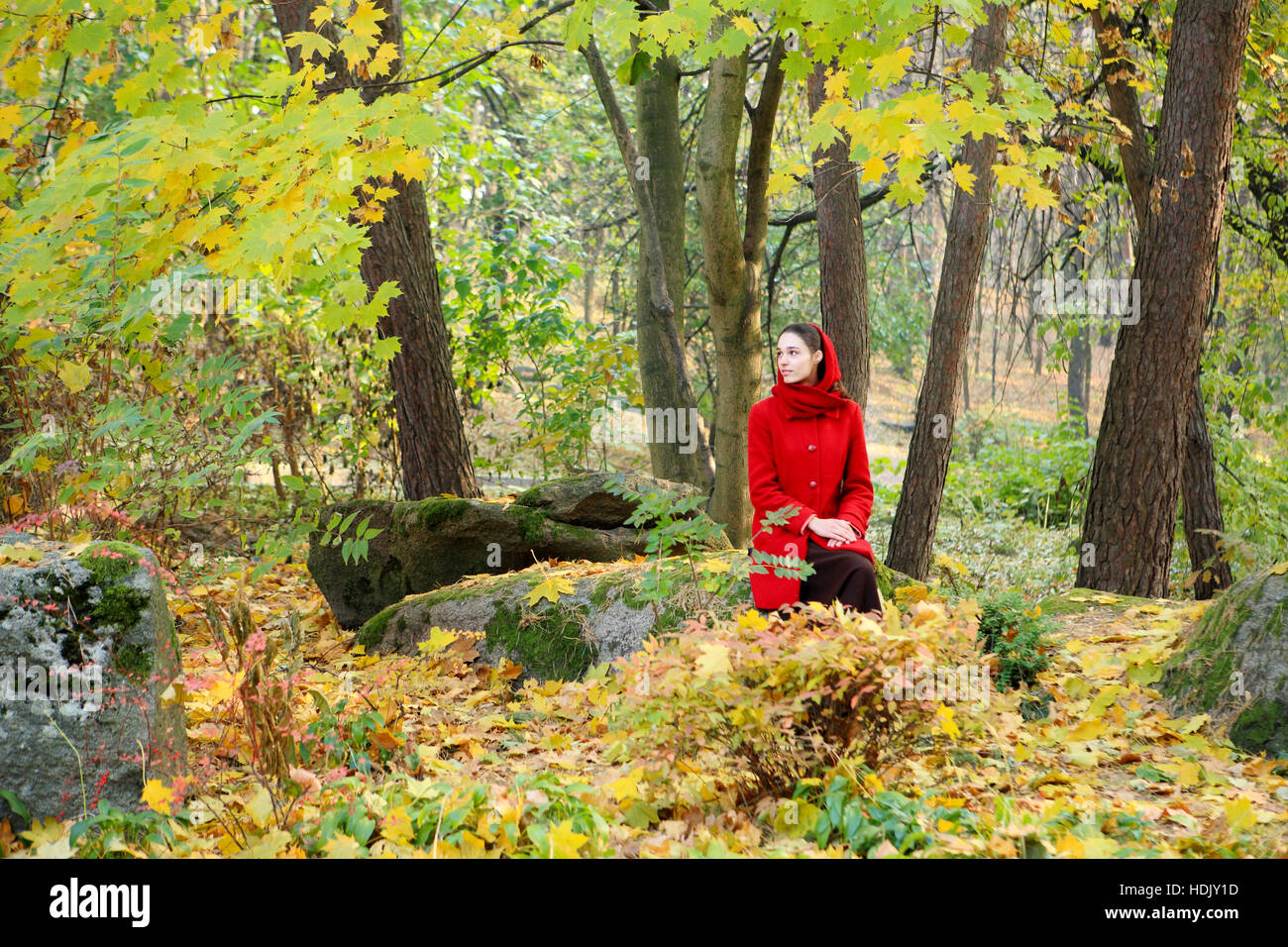 Beautiful young girl walking in autumn park Stock Photo - Alamy