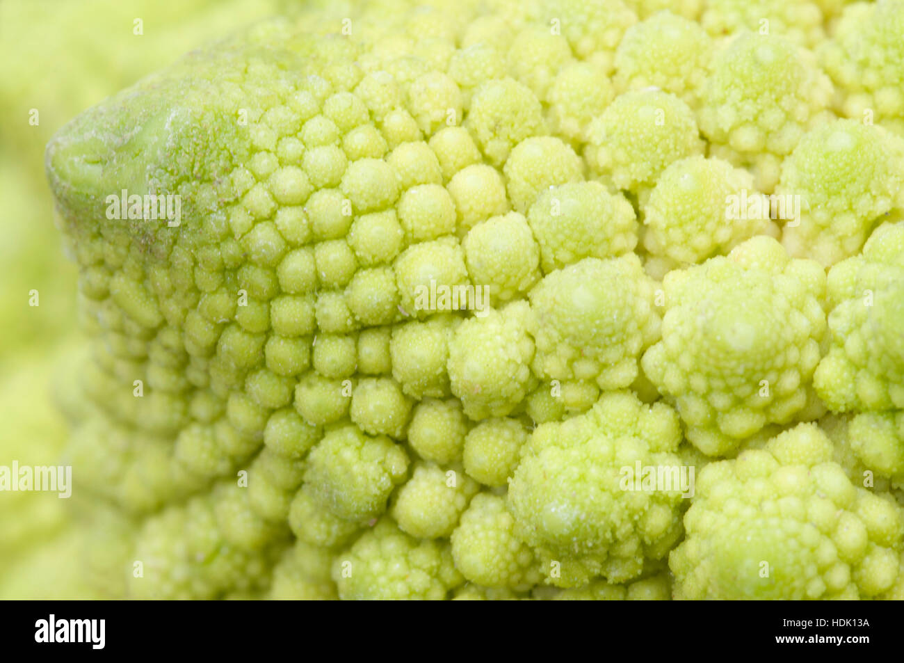 Romanesco broccoli heads Stock Photo