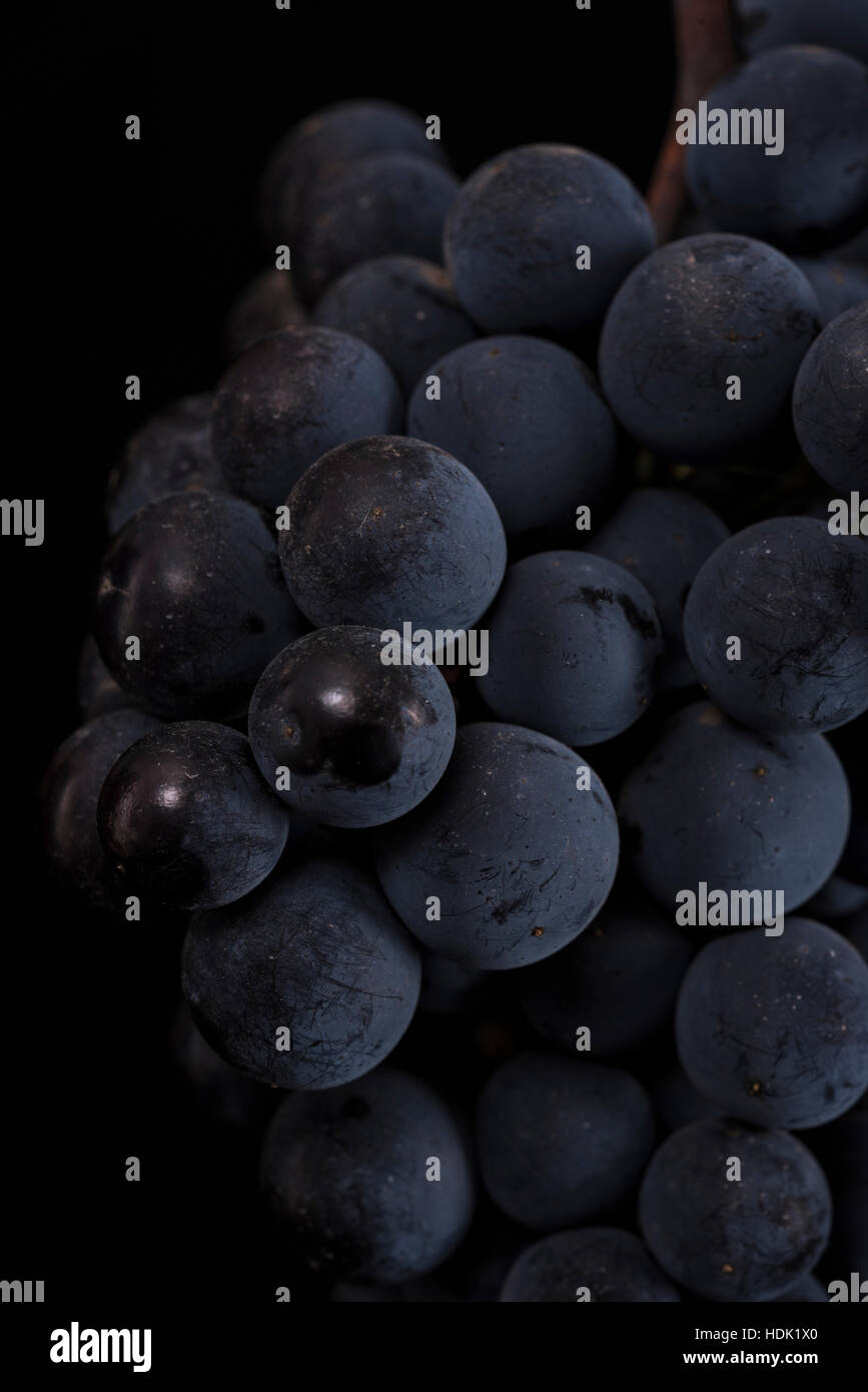 grape berry on black background Stock Photo