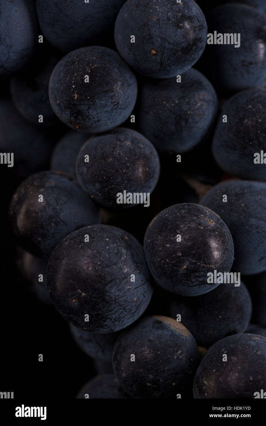 Closeup, grape berry Stock Photo