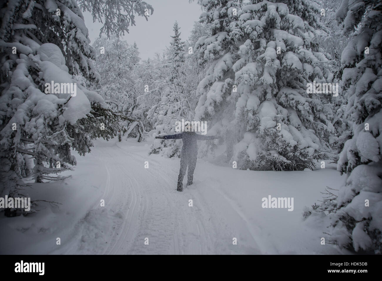 Woman wearing dark jacket throwing snow above head in the air in winter