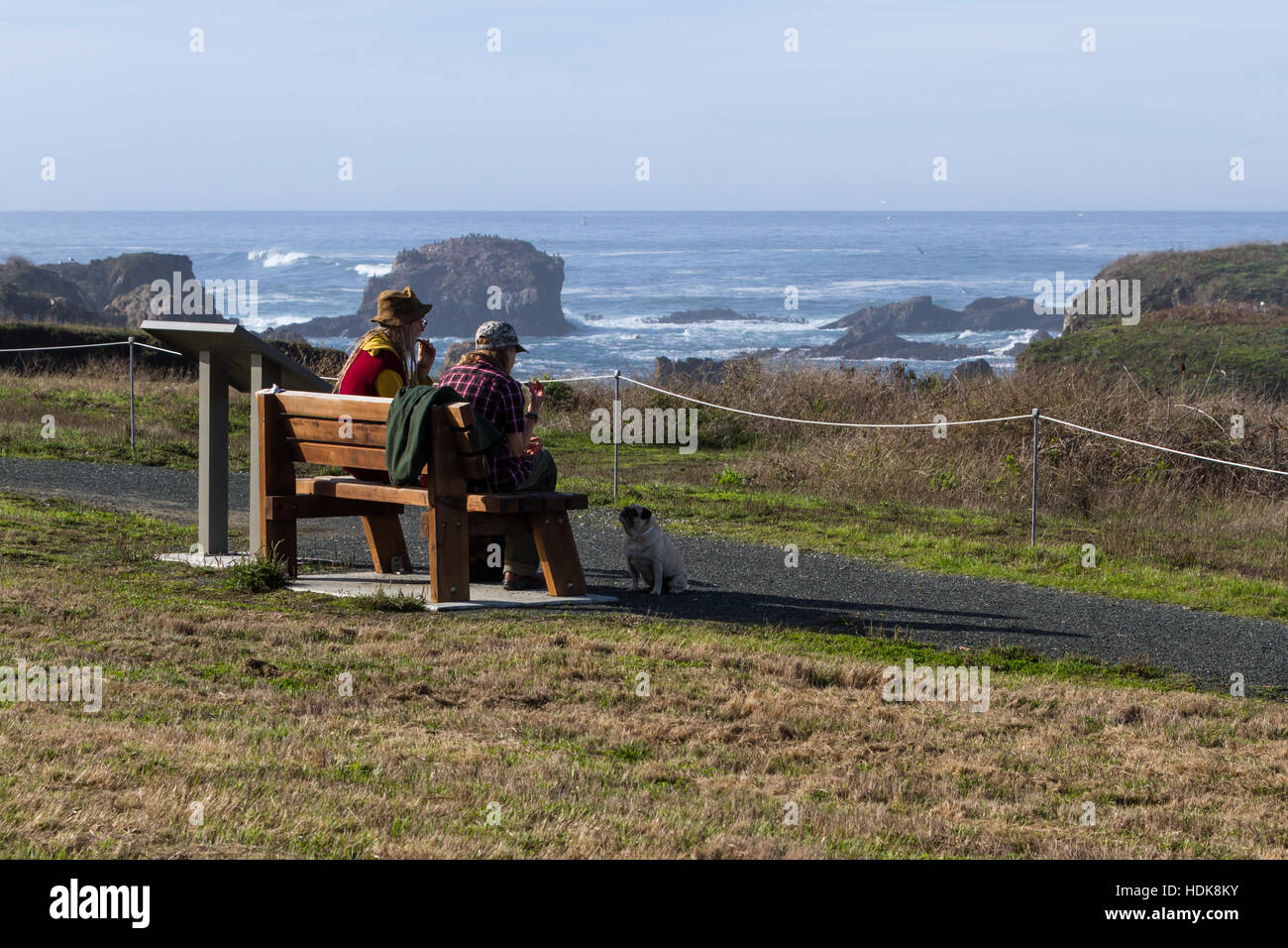 Fort Bragg, California - November 03: Couple having a snack with a coastal view in the background and a small puppy begging for food. November 03 2016 Stock Photo