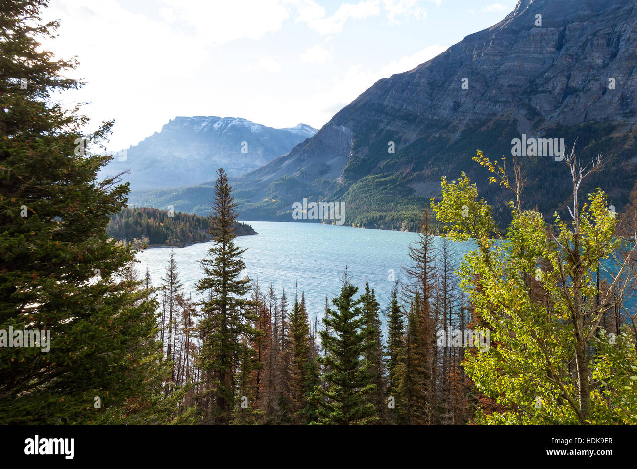 beautiful motning view of St. Mary lake in Glacier Montana with vivid green trees and sun rays working their way across the mountain Stock Photo