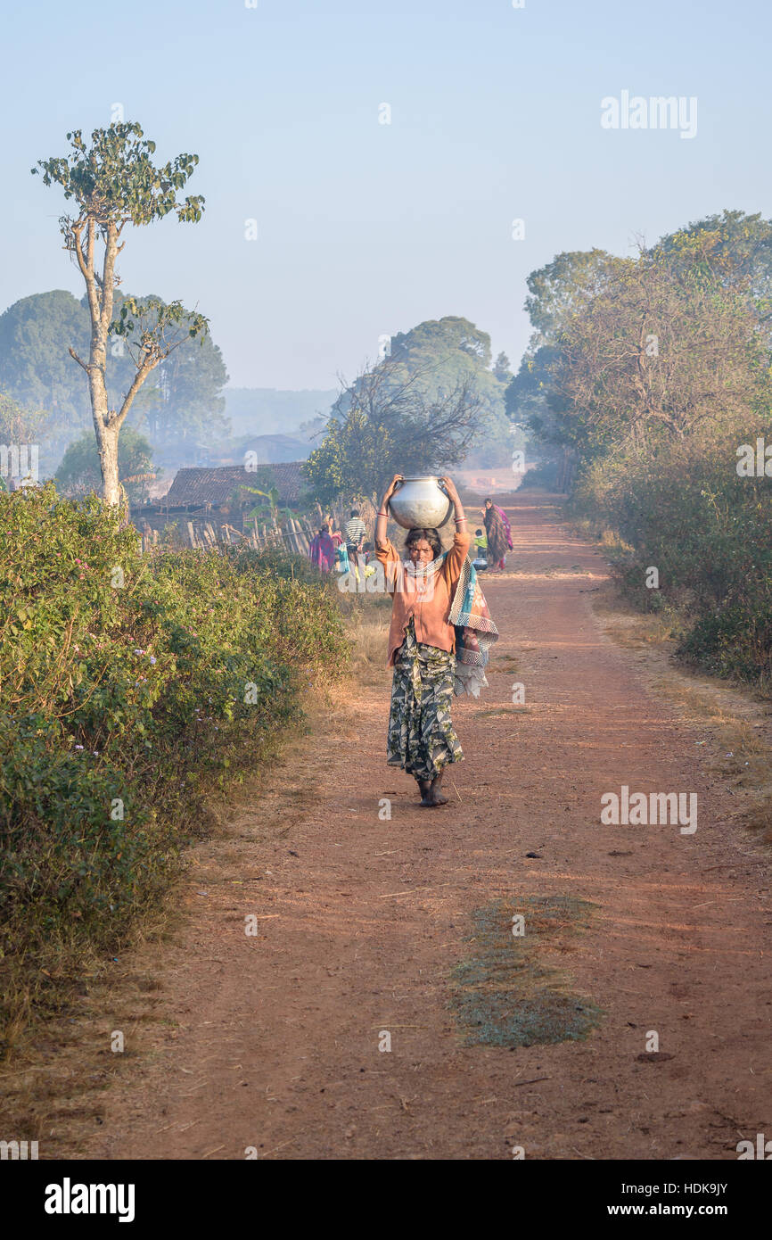 An Indian village woman is carrying water for domestic use Stock ...