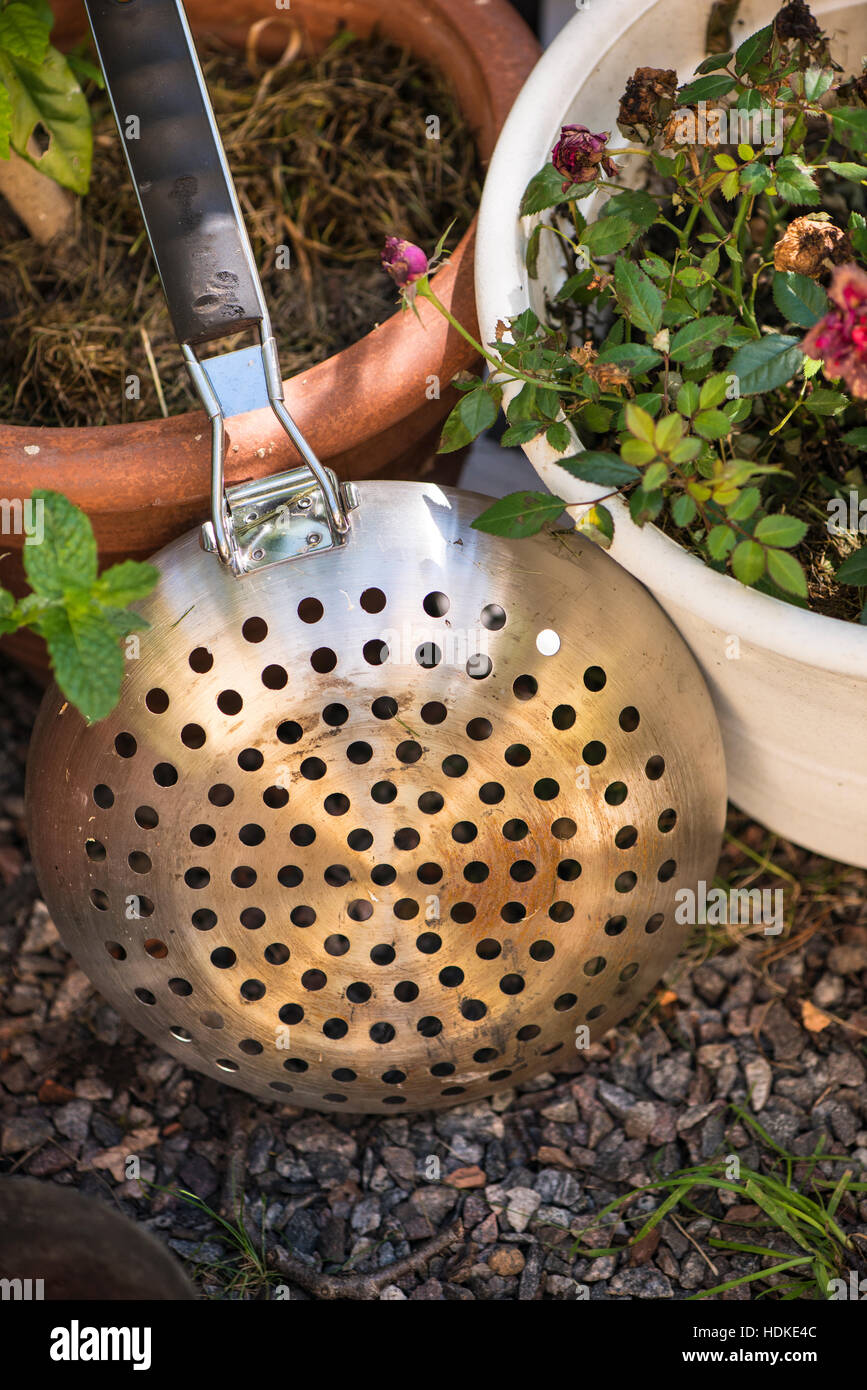 Barbecue pan with holes in garden Stock Photo Alamy