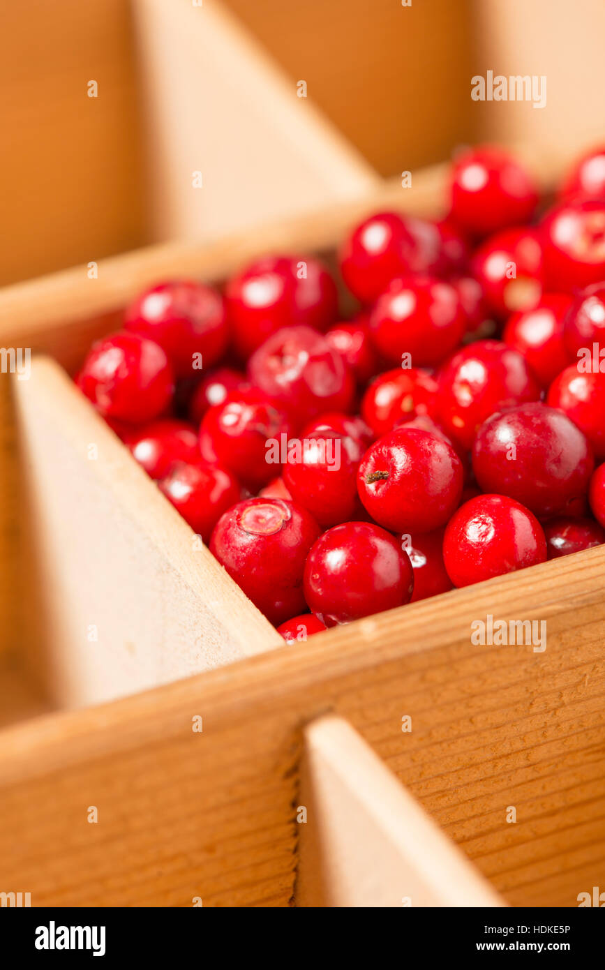 Swedish lingonberries in wooden box. Close up of red berries. Stock Photo
