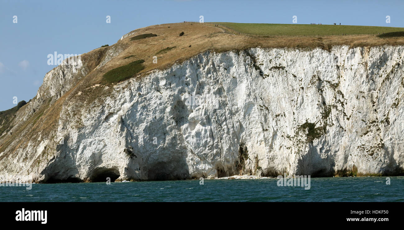 Striking Chalk Cliff Structures From Swanage Ballard Point To Handfast ...