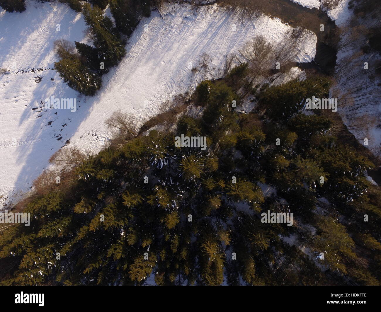 Winter forest view hi-res stock photography and images - Alamy