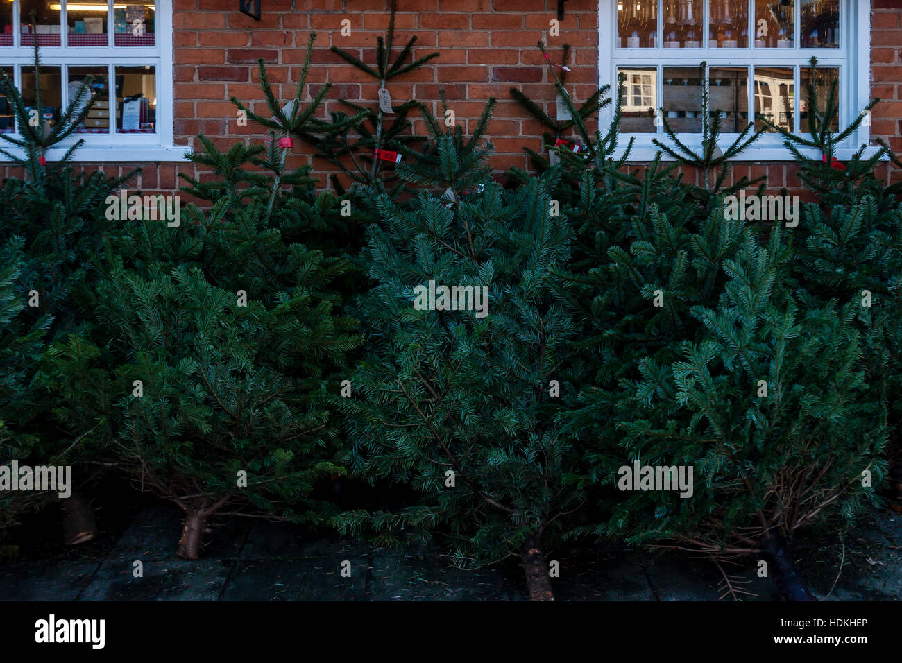 Christmas countryside uk hires stock photography and images Alamy