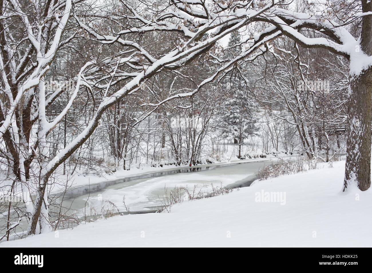 An icy creek in winter surrounded by snow, in Minneapolis, Minnesota, USA  Stock Photo - Alamy, image size:1300x956