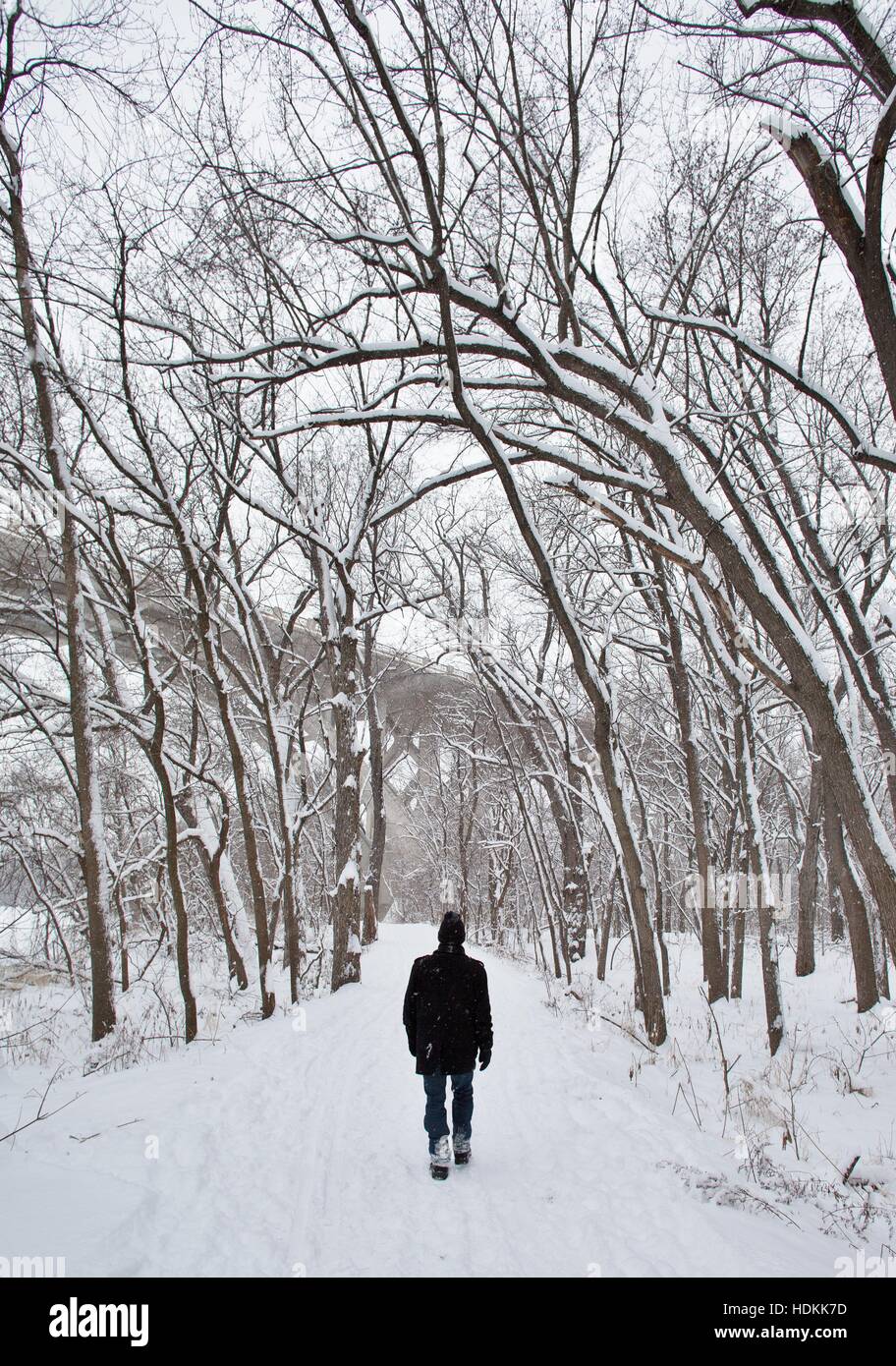 A man walking alone in a snowy wooded area Stock Photo - Alamy