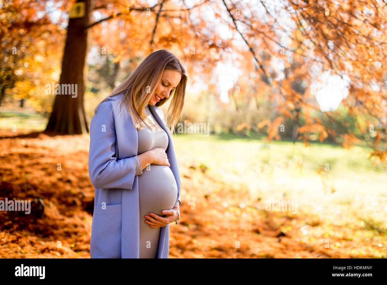 View at young pregnant woman posing in autumn park Stock Photo - Alamy