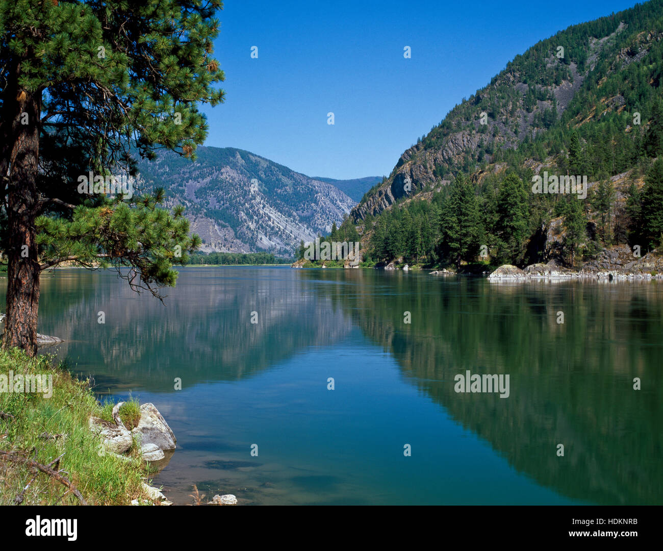 clark fork river above thompson falls, montana Stock Photo Alamy