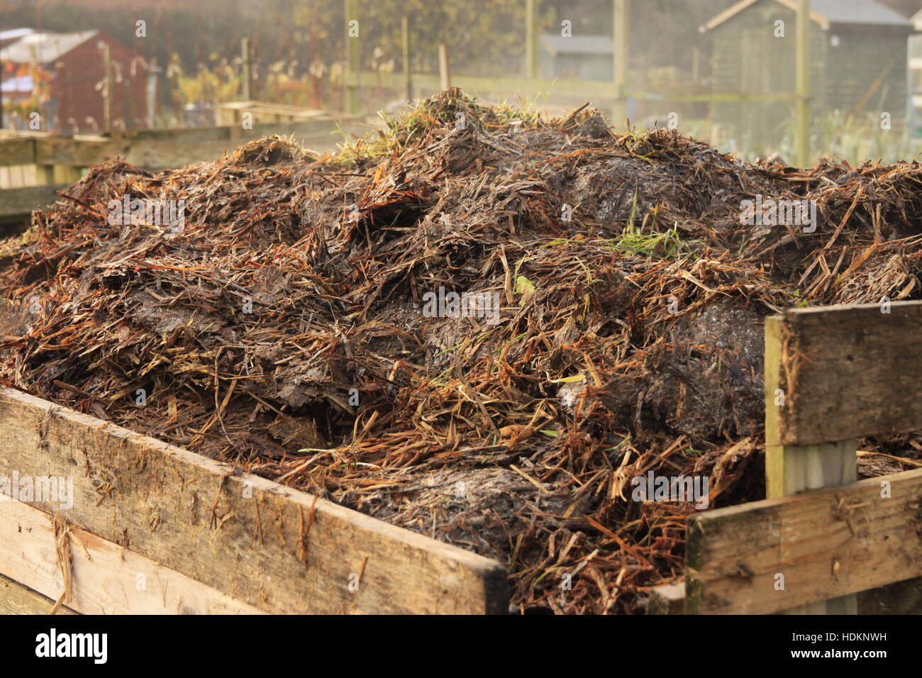 Horse Manure Garden Stock Photos Horse Manure Garden Stock