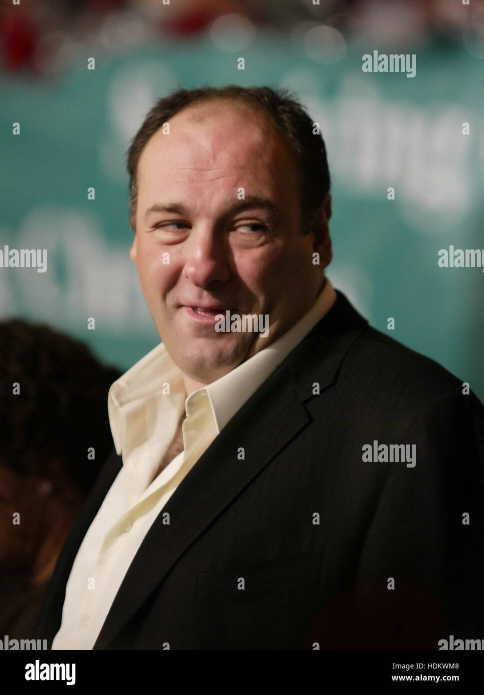 James Gandolfini at the premiere for 'Surviving Christmas' on October
