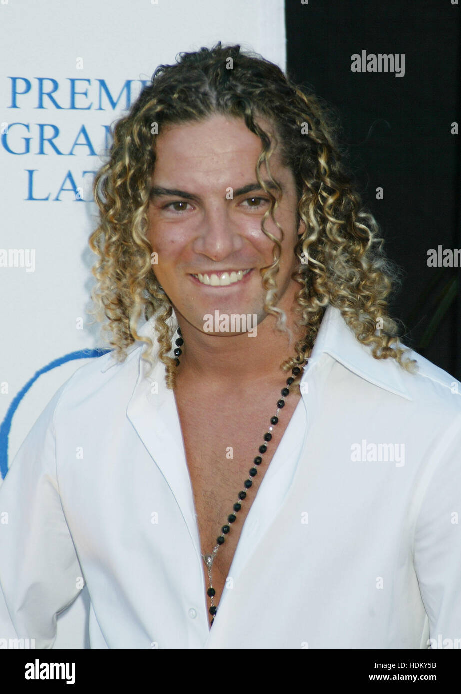 Spanish musician David Bisbal poses for photographers at the Latin Recording Academy Person of the Year Tribute to Carlos Santana in Los Angeles on August 30, 2004. Photo by Francis Specker Stock Photo