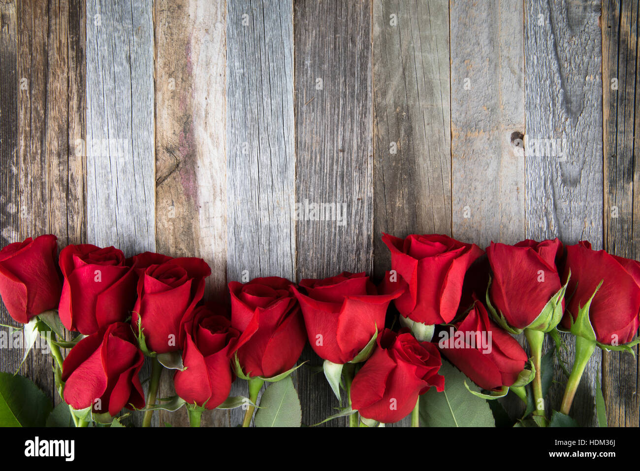 Romantic red roses for a special occasions on a wooden background with copy space. Stock Photo