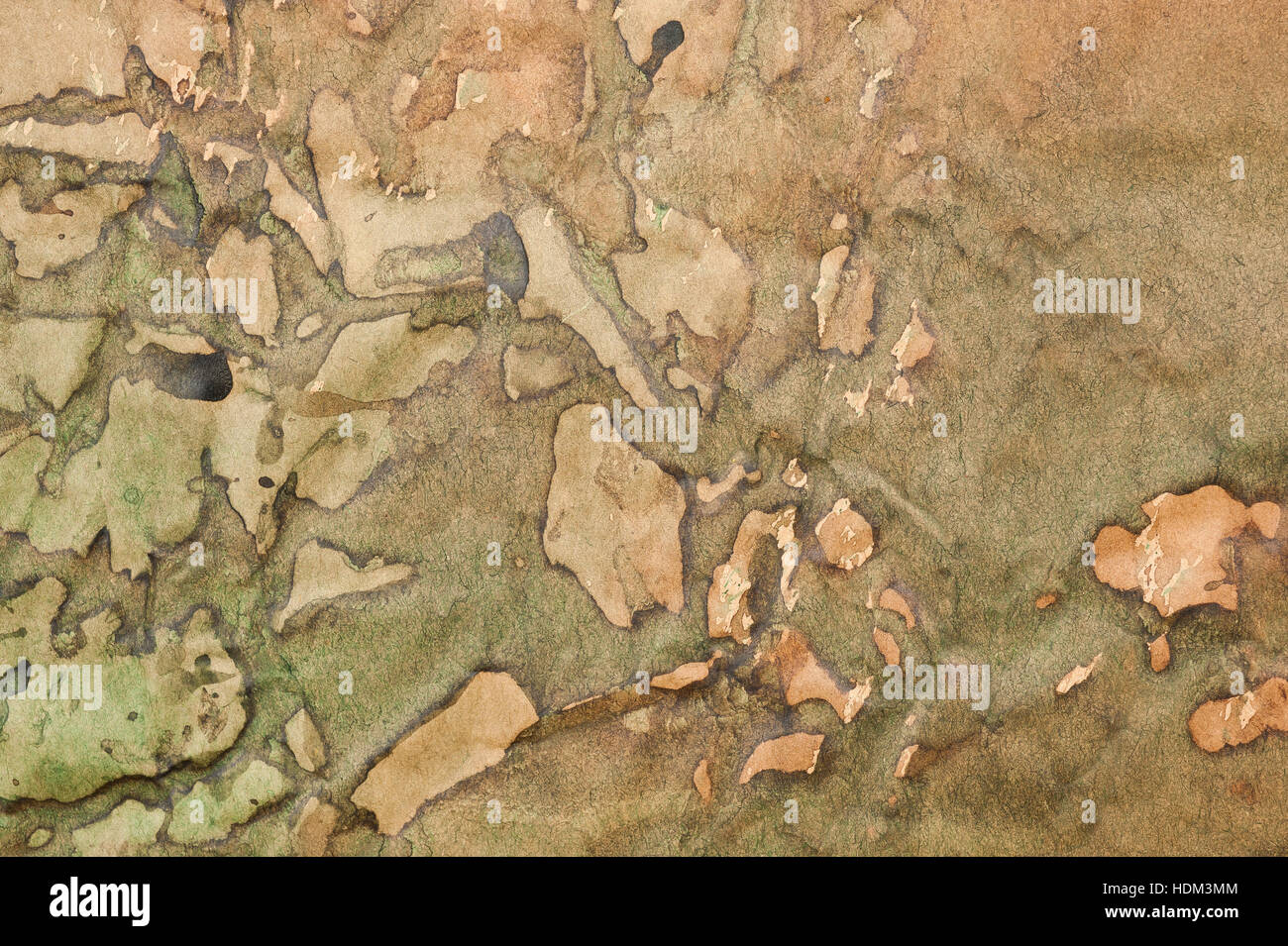 spotted background stained and ripped Stock Photo