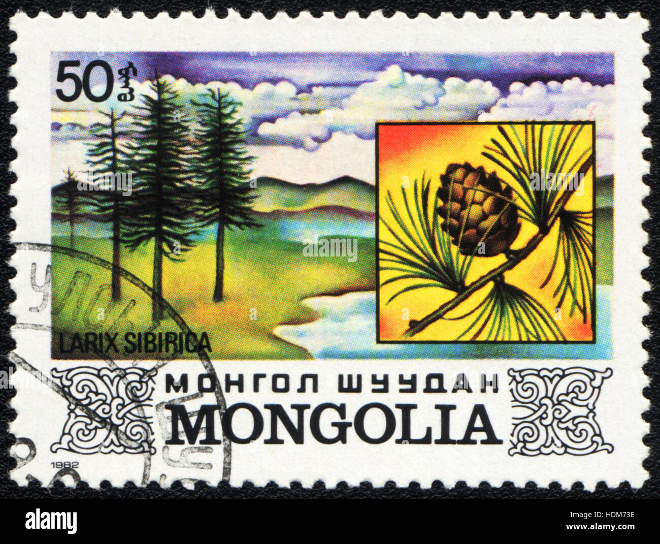 A postage stamp printed in MONGOLIA  shows  a  Larix Sibirica, 1982 Stock Photo