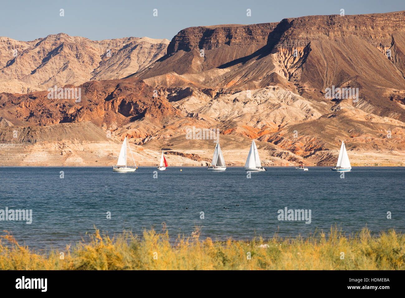 Sailboats Ride Wind Lake Mead Recreation Area Boaters Sail Stock Photo