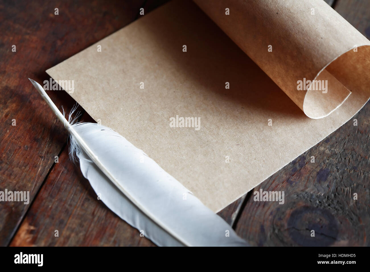 Literature concept. Paper and quill pen on nice old wooden background Stock Photo