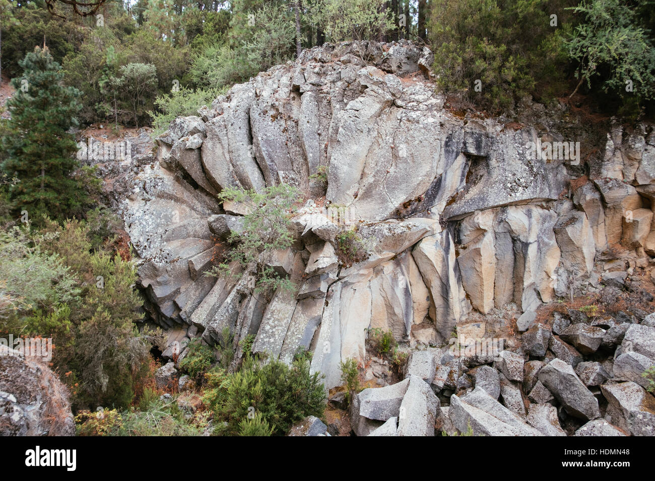 Geological formation at Parque Natural, Corona Forestal , Mirador de la Piedra de la Rosa, Tenerife, Canary Islands, Spain Stock Photo