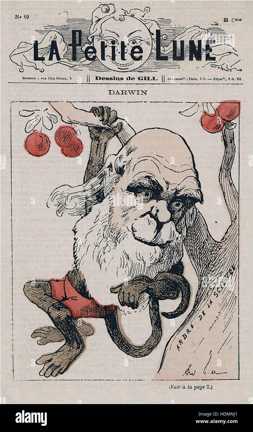 La Petite Lune - Darwin as monkey - French Caricature Stock Photo