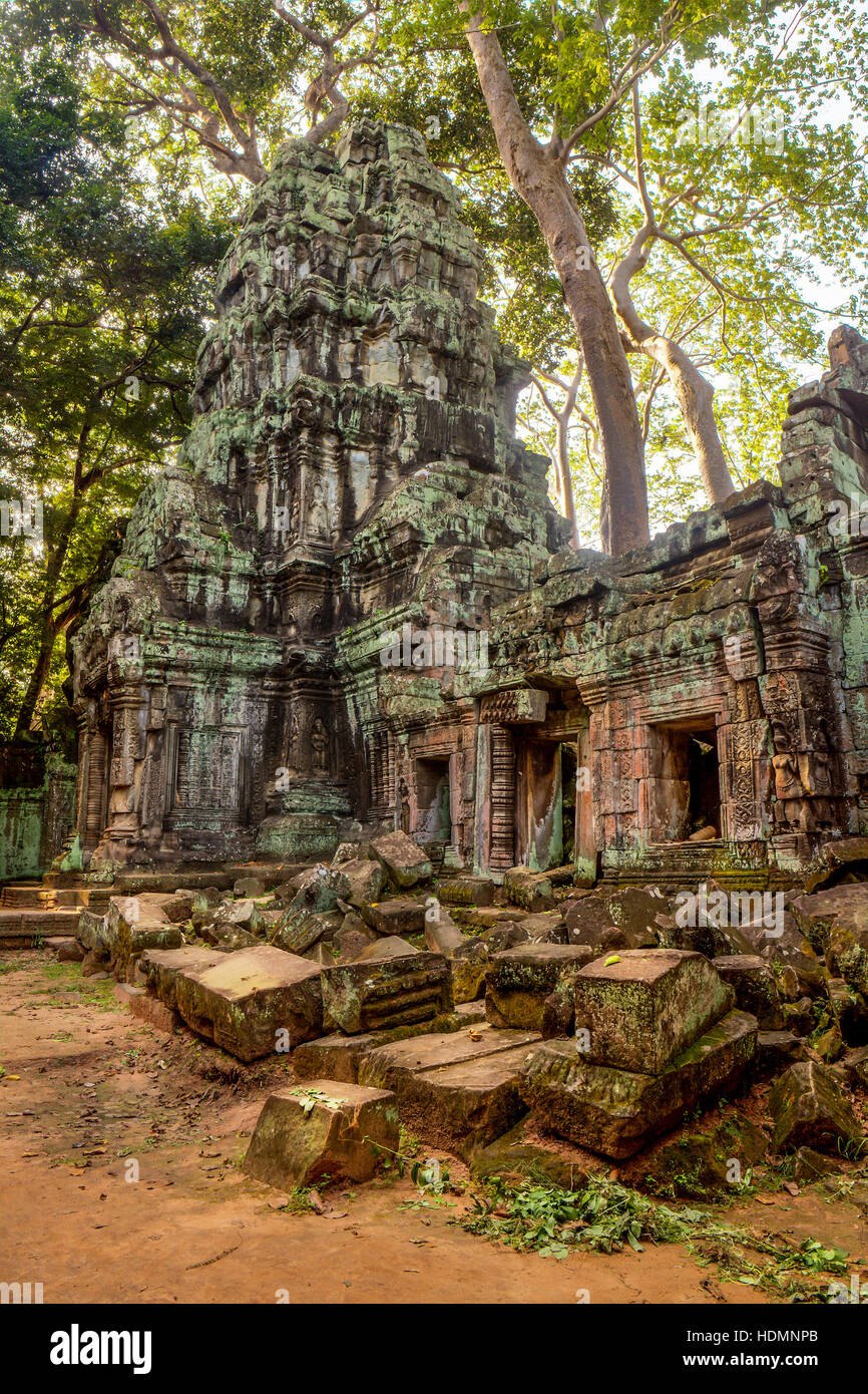 Scattered and moss-covered stones at Ta Prohm temple complex ruins in Siem Reap, Kingdom of Cambodia. Stock Photo