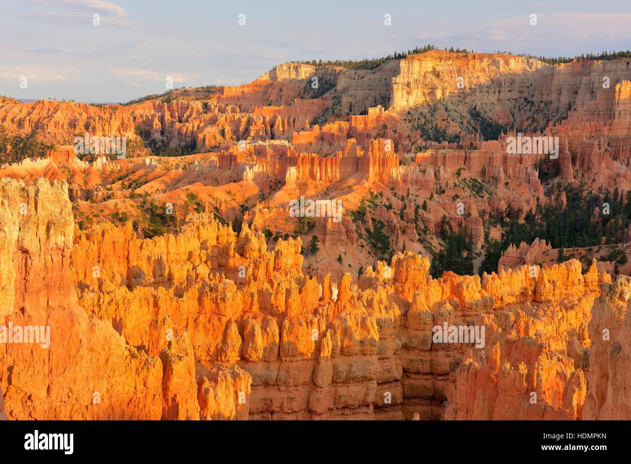 Pinnacles in the evening light, Bryce Canyon National Park, Utah, USA Stock Photo