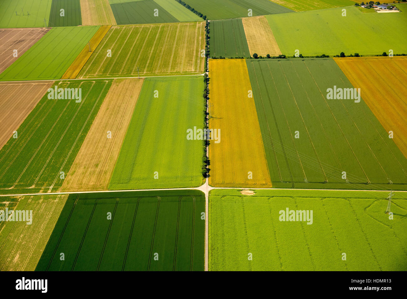 Aerial photograph, fields in Rhine Rift Valley, near Weilerswist, Rhineland, North Rhine-Westphalia, Germany Stock Photo