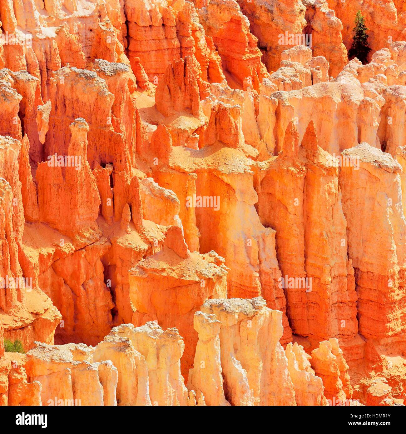 Red eroded limestone columns, Bryce Canyon National Park, Sunrise Point, Utah, United States Stock Photo