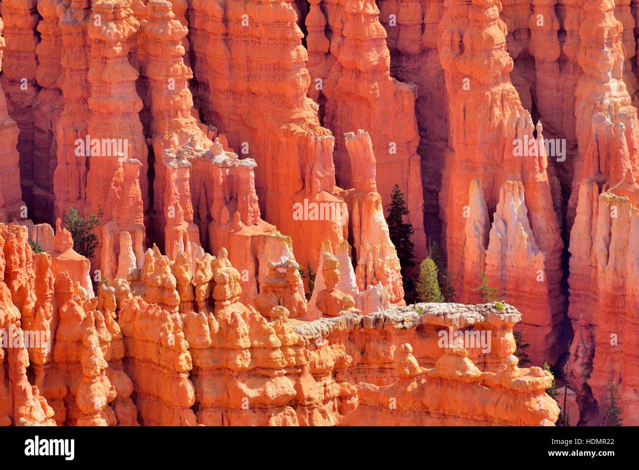 Red eroded limestone columns, Bryce Canyon National Park, Sunrise Point, Utah, United States Stock Photo