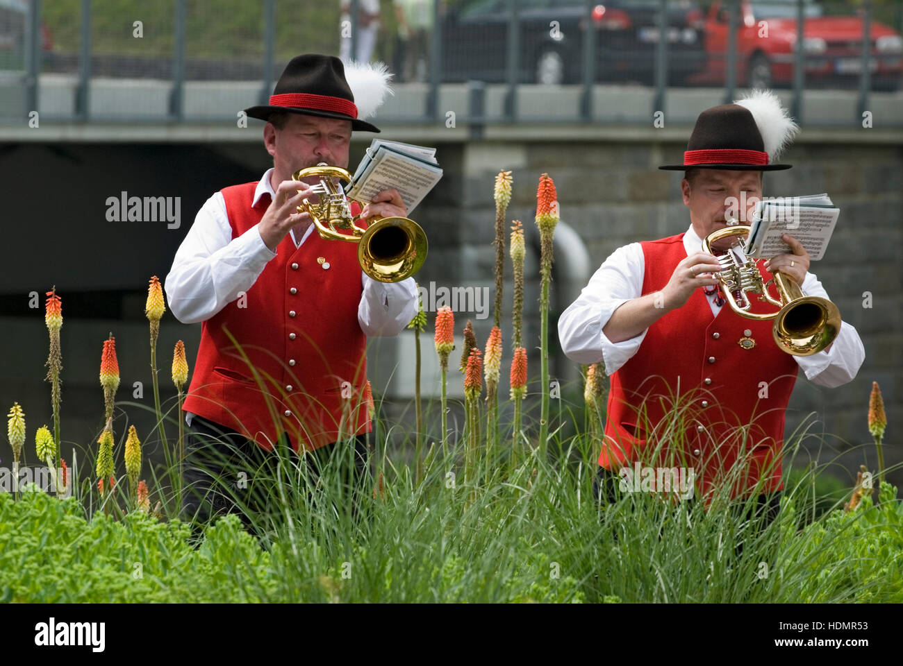 Trumpeters, Reichraming, Upper Austria, Austria, Europe Stock Photo