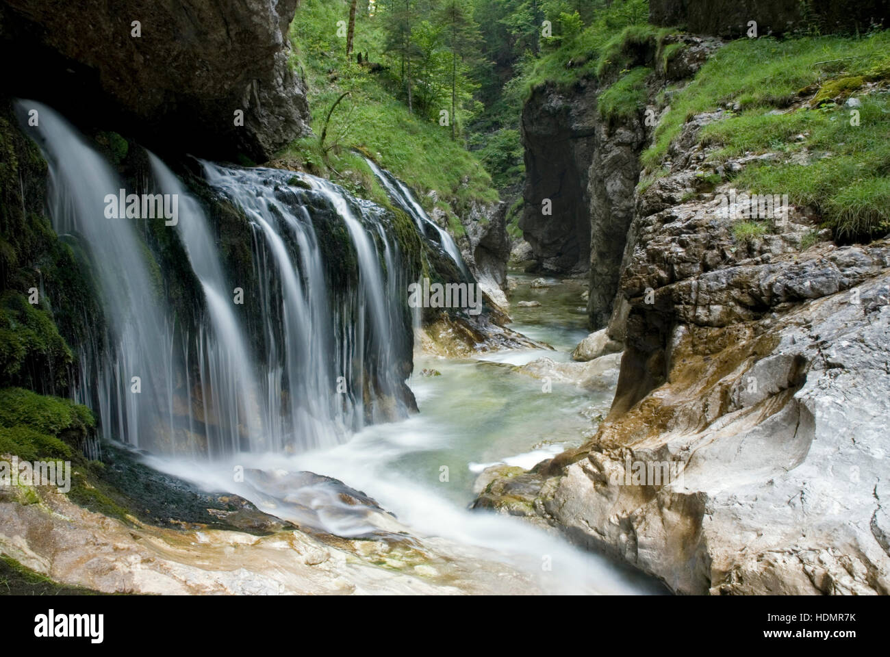 Canyon, waterfall, Kalkalpen National Park, Upper Austria, Europe Stock Photo