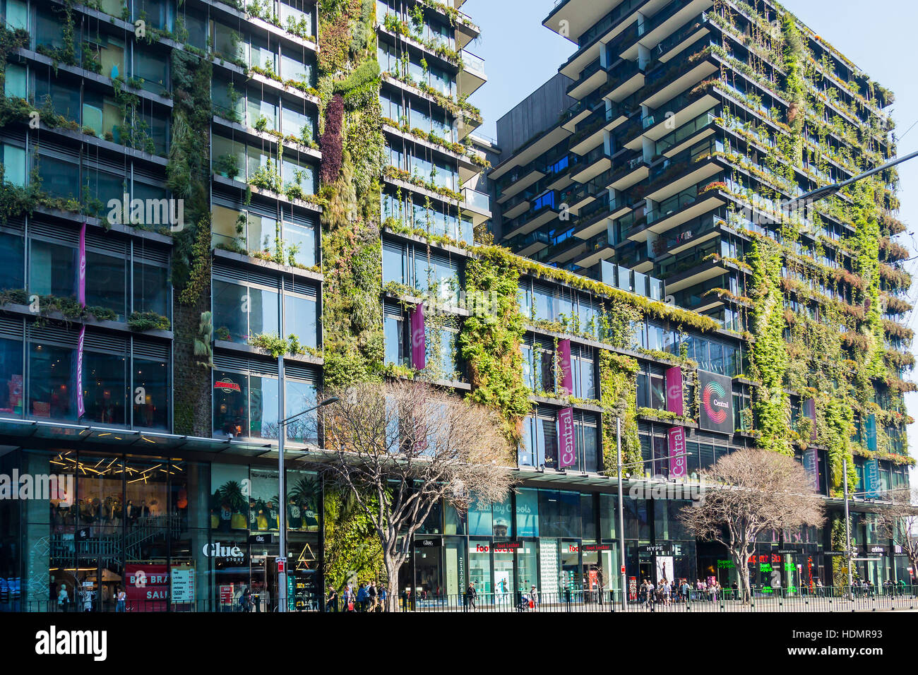 A Garden Wall  building known as One Central Park which is built around Chippendale Green, Sydney. The vertical garden was designed by Patrick Blanc. Stock Photo