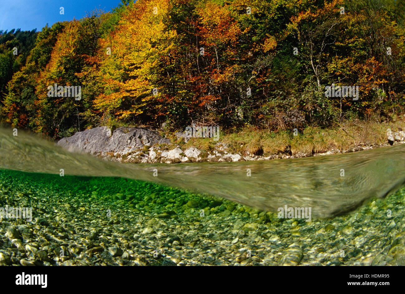 Autumnal day on Reichraming Stream, Kalkalpen National Park, Upper Austria, Europe Stock Photo