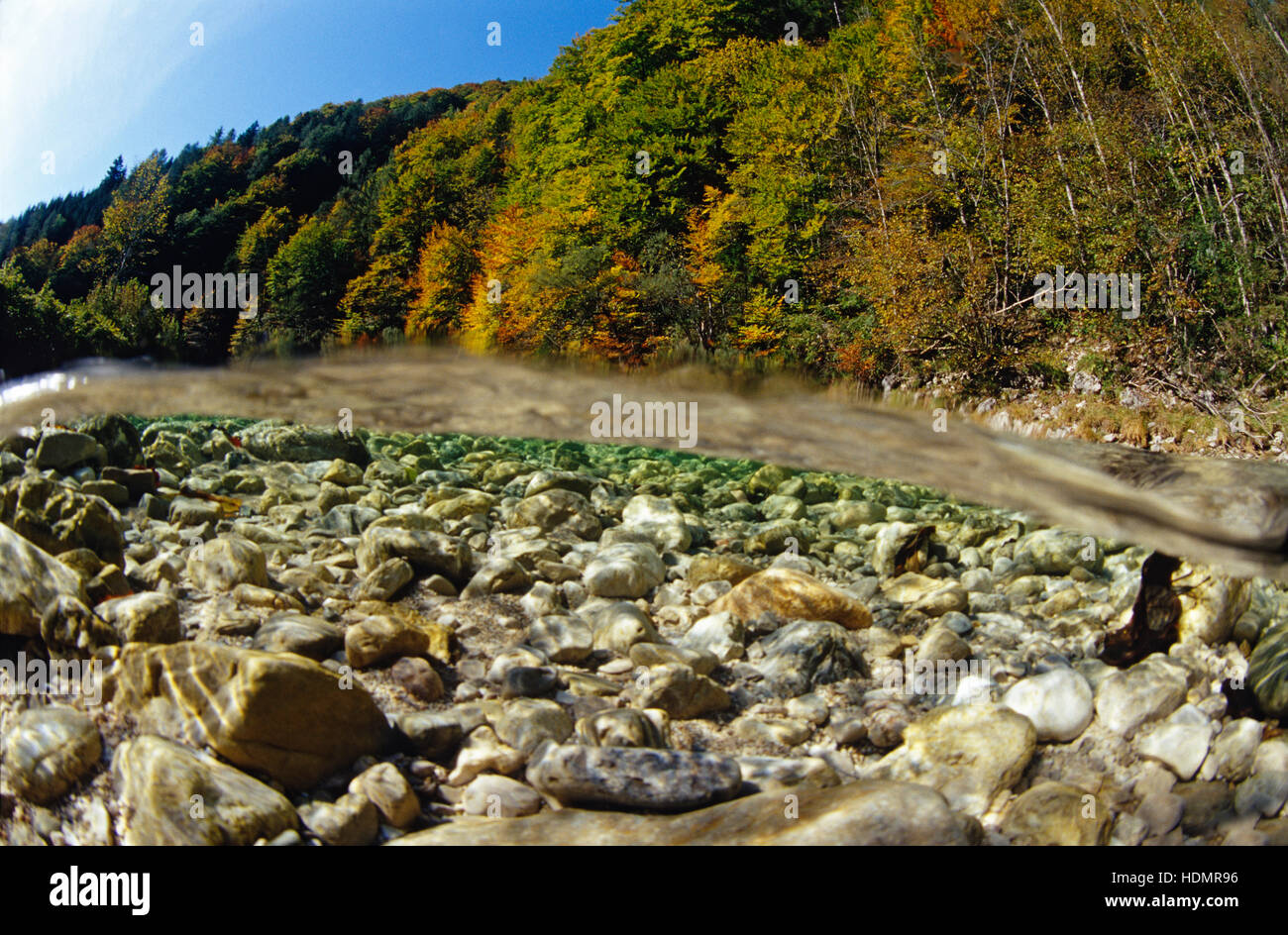 Autumnal day on Reichraming Stream, Kalkalpen National Park, Upper Austria, Europe Stock Photo