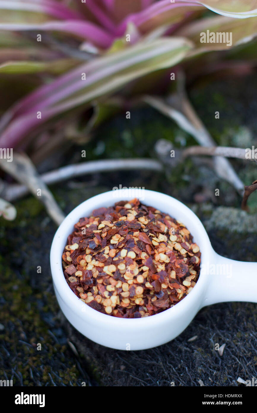 Chili flakes and seeds in a rustic background with plants Stock Photo