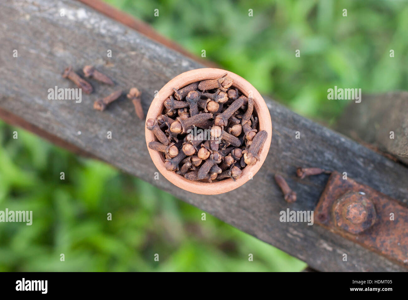Cloves in a clay bowl on a log of wood with green grass background