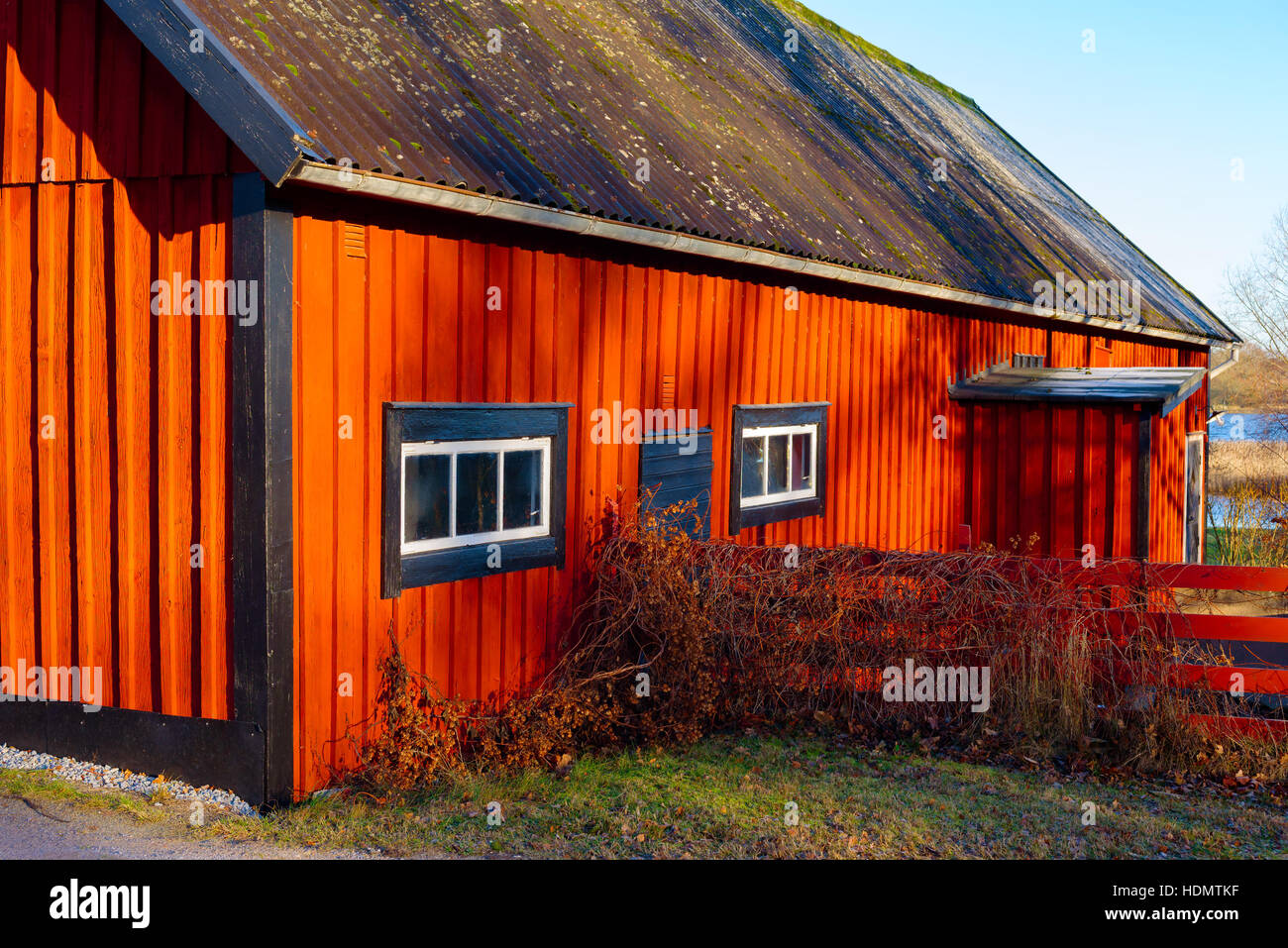 Bokenas, Sweden - December 12, 2016: Documentary of Swedish farm buildings. Intensely red barn with black corners, doors and window frames. Stock Photo