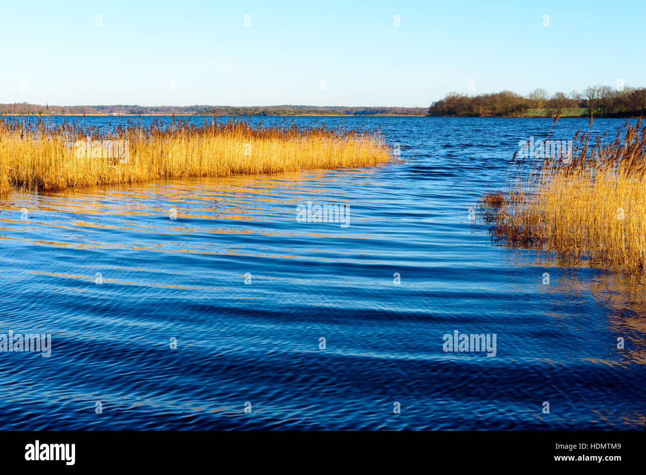 Narrow waterway inlet in reed bed with the south Swedish archipelago in the background. Stock Photo