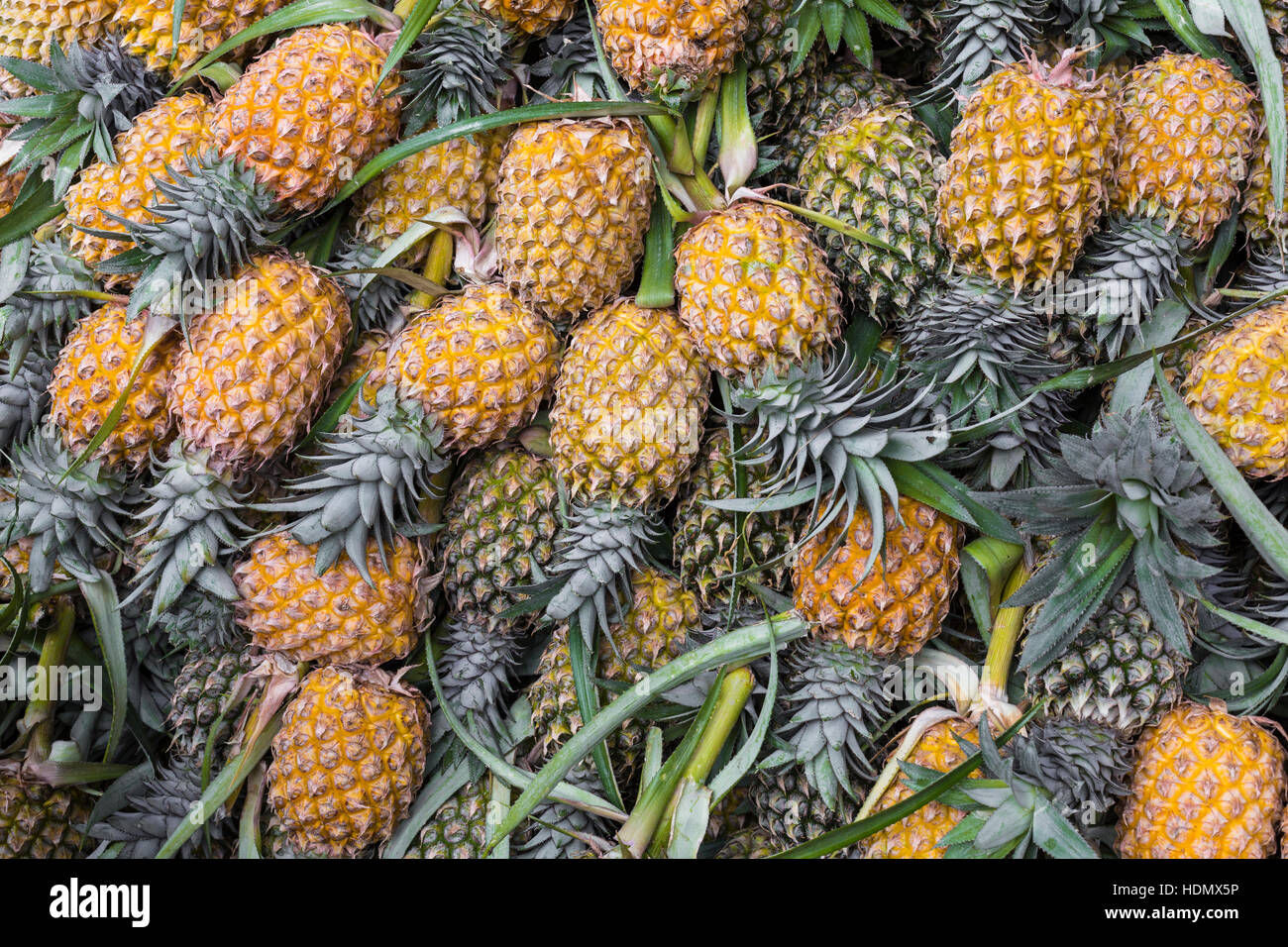 Fresh pineapple in local market  in Kandy, Sri Lanka. Background. Stock Photo