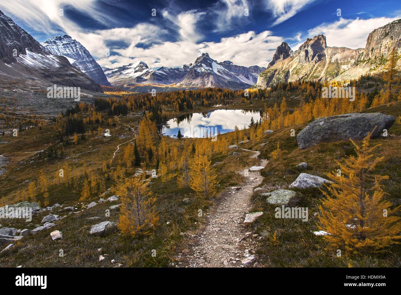 Snowy Rocky Mountains, Autumn Larch Trees, Blue Lake, Dramatic Skyline.  Canadian Rockies Landscape, Yoho National Park, British Columbia Stock Photo