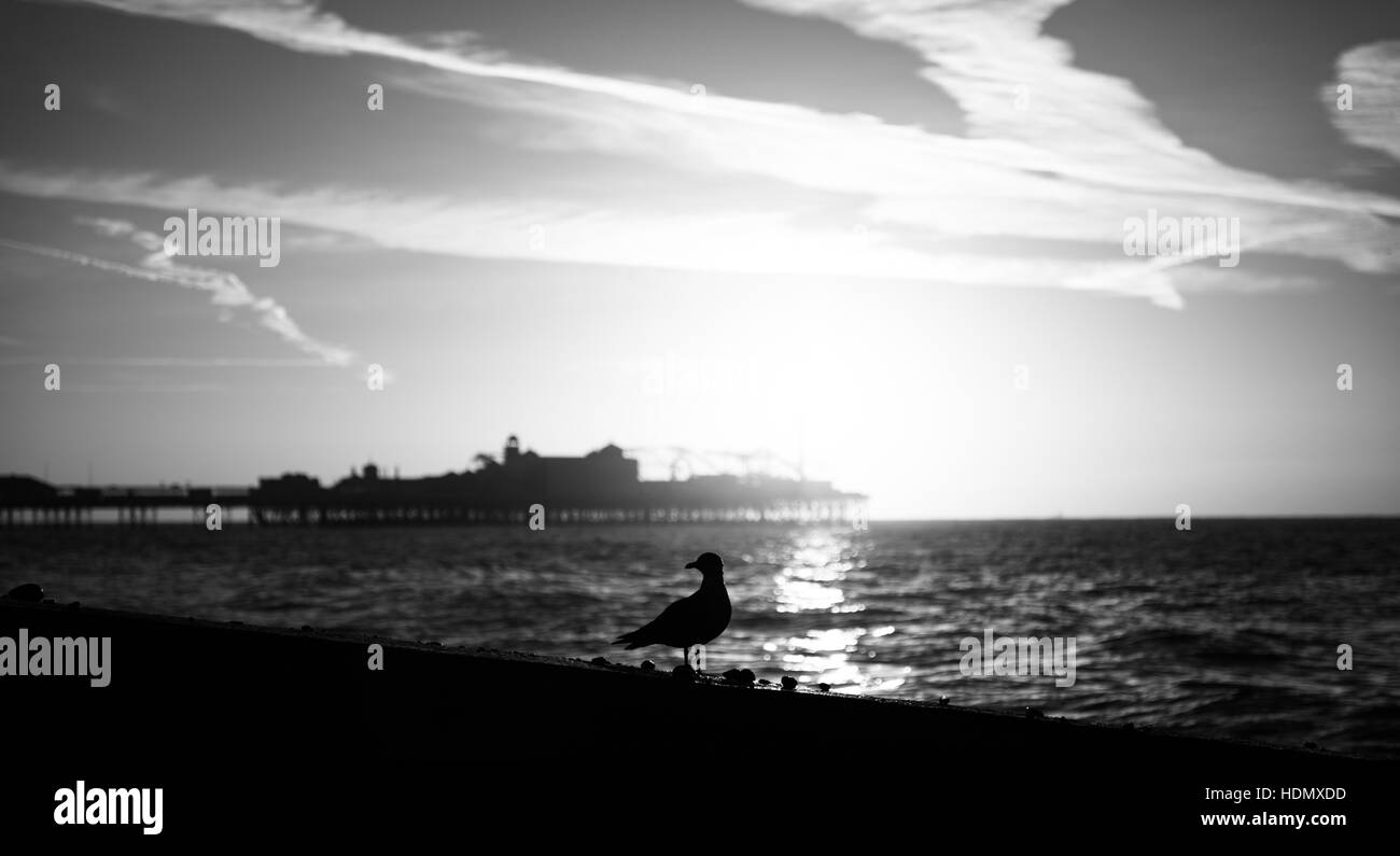 Brighton Beach and Palace Pier seascape in black and white Stock Photo