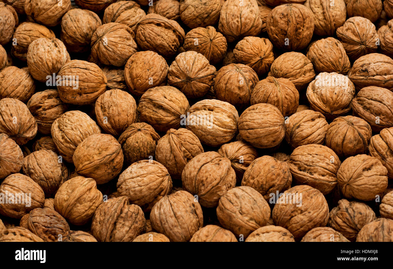 English nutshell hires stock photography and images Alamy