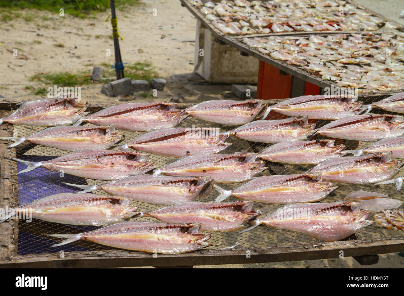 Thailand dried fish hires stock photography and images Alamy