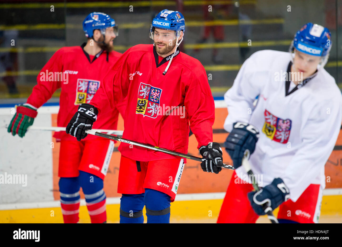 Prague, Czech Republic. 13th Dec, 2016. Czech National Team hockey