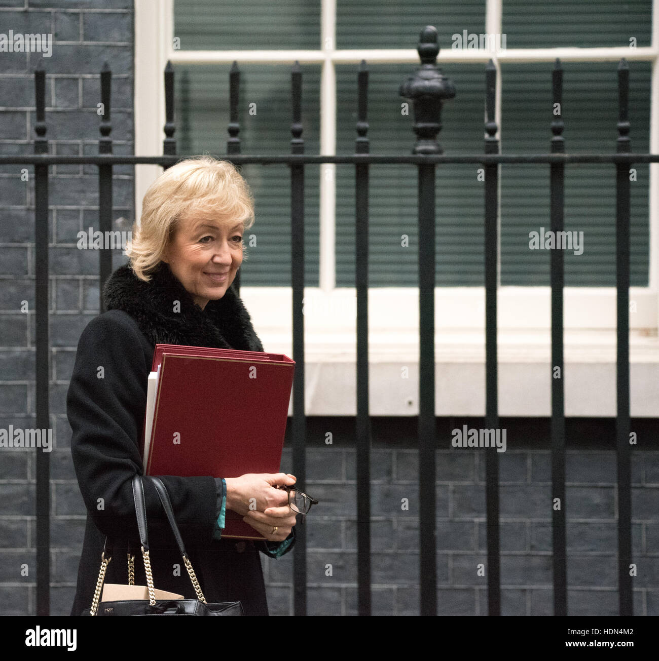 London, UK. 13th December 2016.  Andera Leadsom, Environment Secretary, leaves 10 Downing Street Credit:  Ian Davidson/Alamy Live News Stock Photo