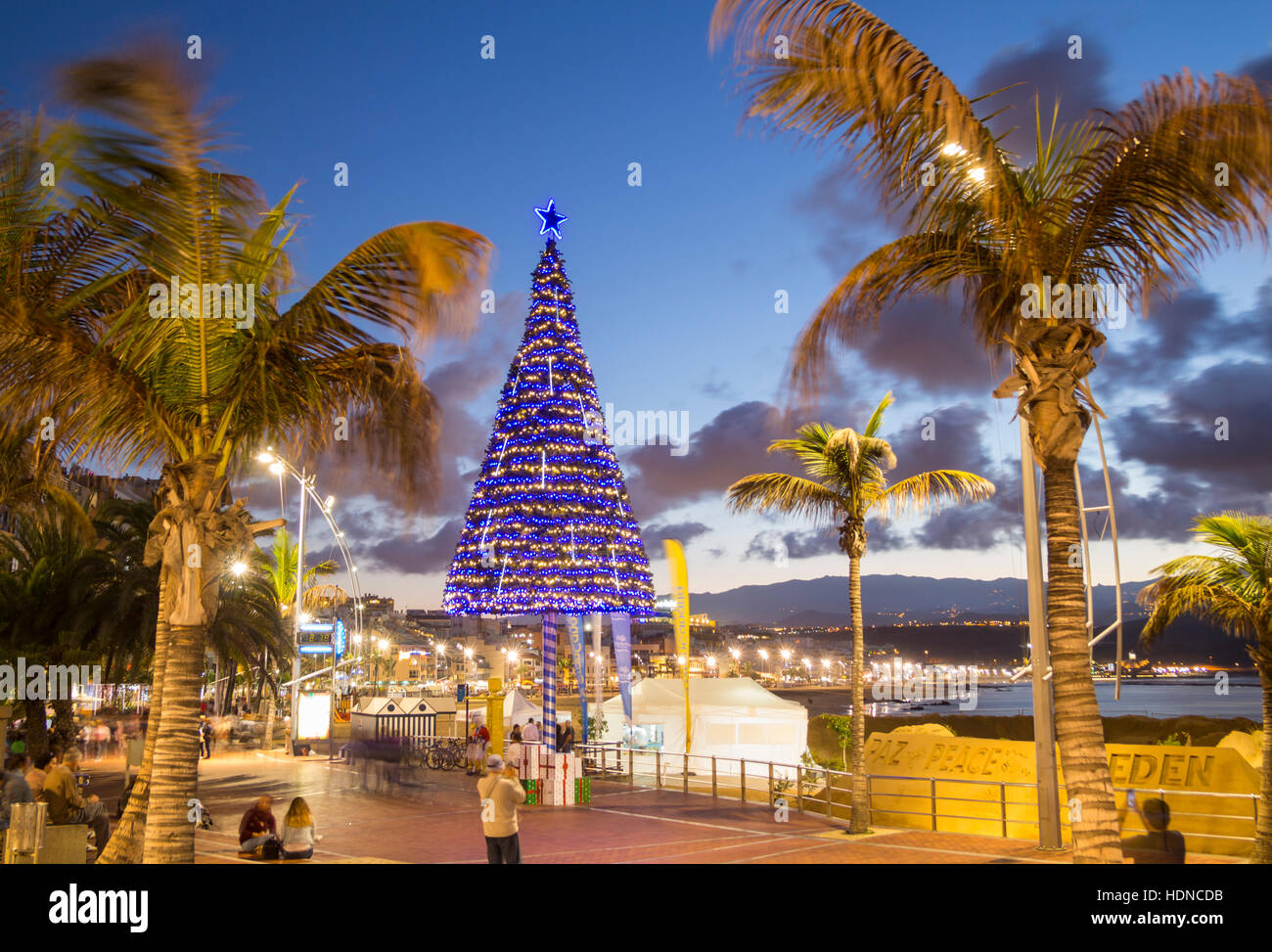 Las Palmas, Gran Canaria, Canary Islands, Spain. 14th December, 2016.  Weather: A balmy 22 degrees Celcius at dusk as the city beach Christmas  tree lights are turned on in Las Palmas, the