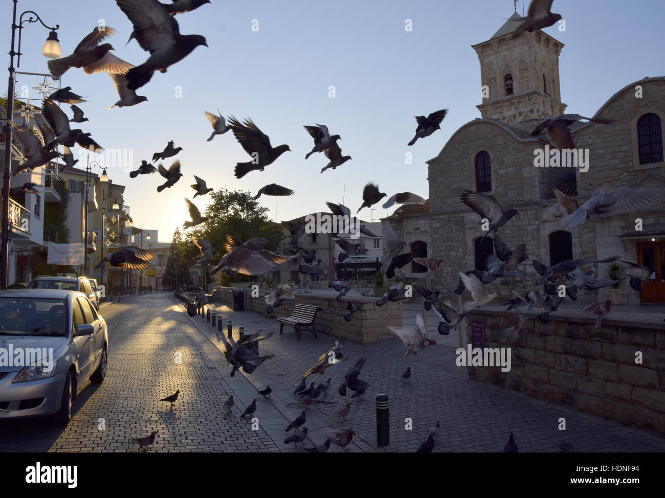 pigeons flying in morning light near Saint Lazarus church in Larnaca Cyprus Stock Photo